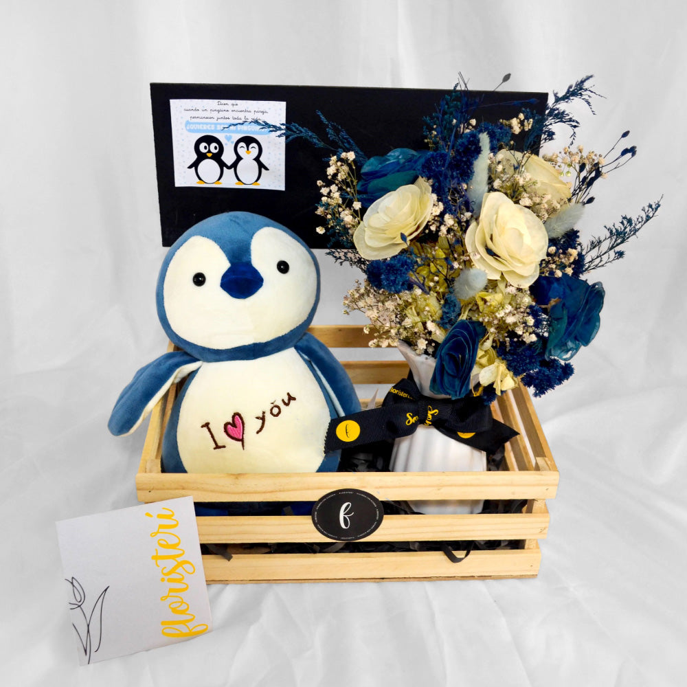 Pack pingüino