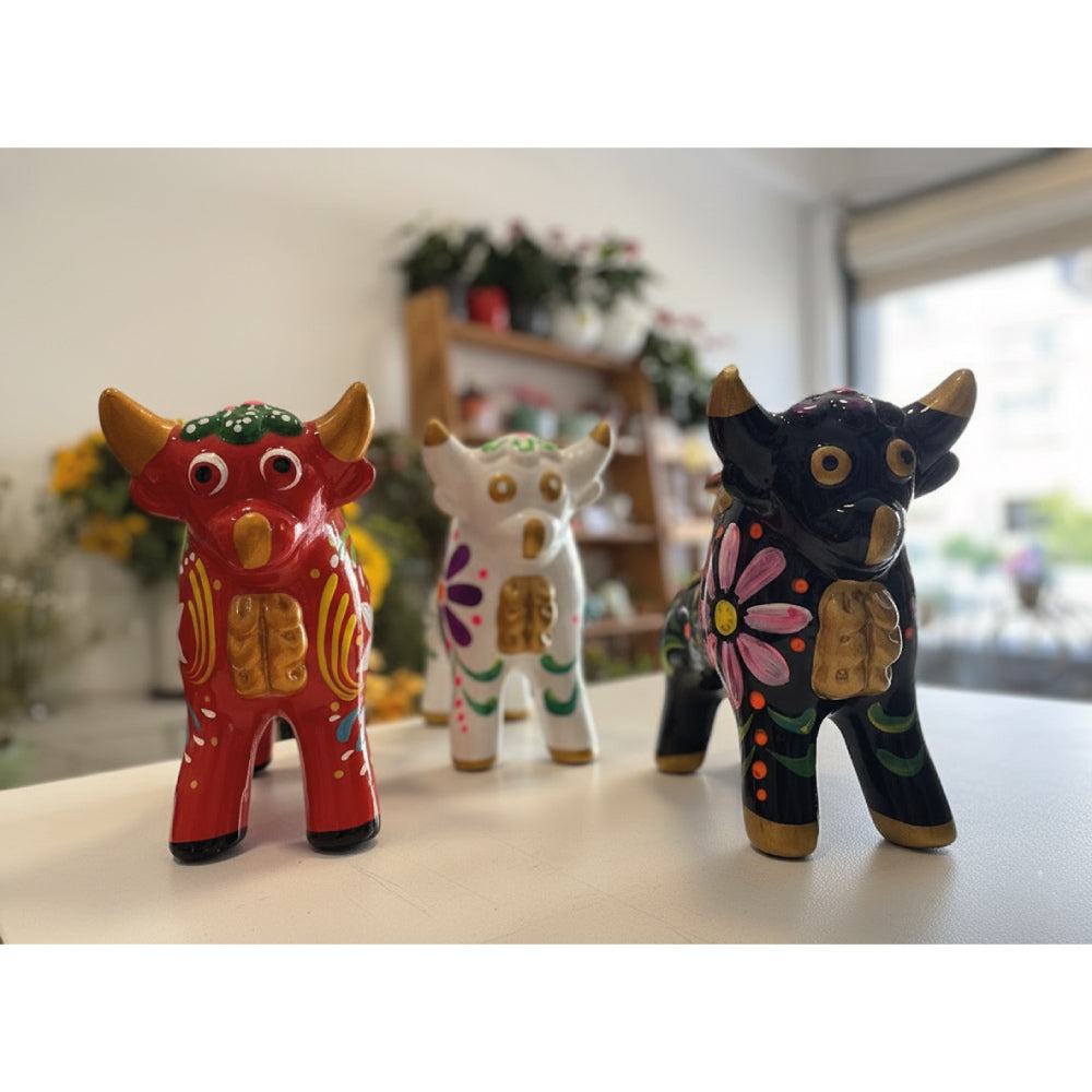 Suculenta Torito Pukará