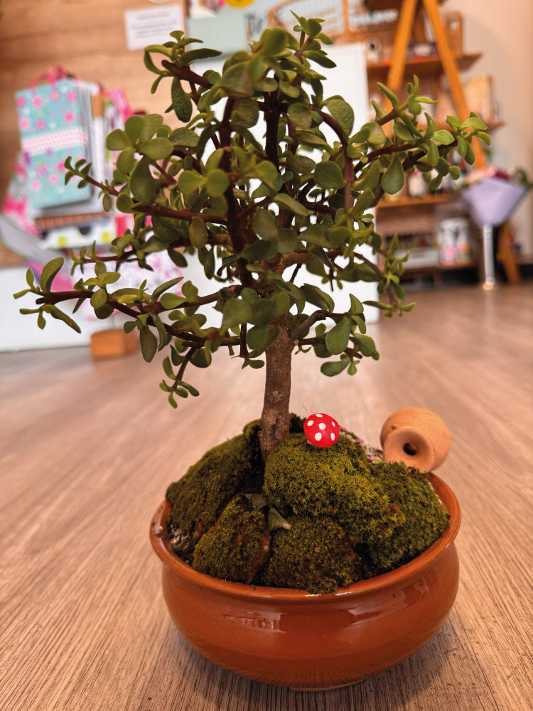 Bonsai