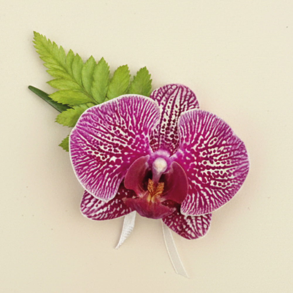 Corsaje Orquídea prom